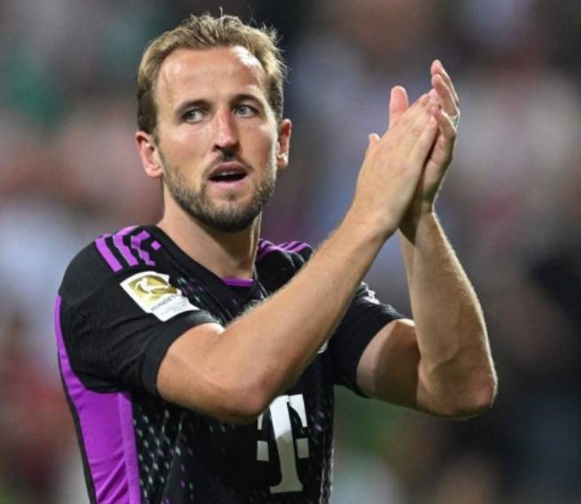 纷纷表示 纷纷表示